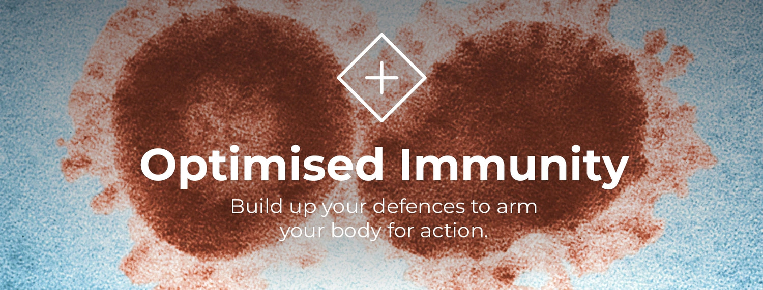 Optimised Immunity – SOHL Global